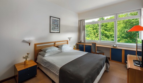 Standard Double Room, Park Side