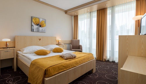 Single room - park view