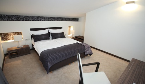 Classic Double Room, Balcony, Park View