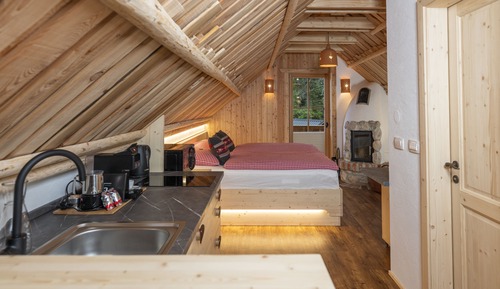 Chalet Studio GOVIC with Mountain - River view and Fireplace