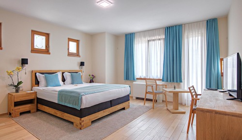 Standard King Room, City view