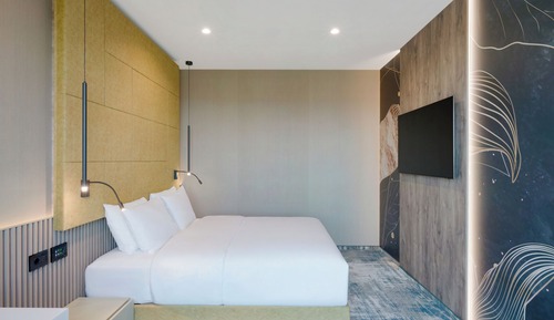 Executive Suite, 1 King Bed with Sofa bed