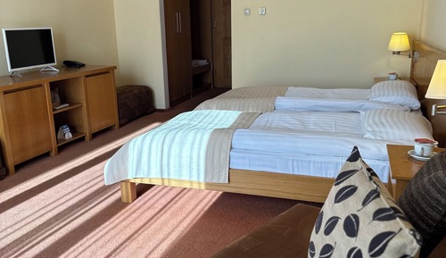 Premium Twin Room