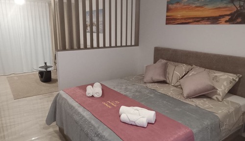 Studio (Studio Apartment with Balcony and Sea)