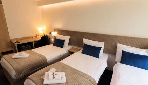Basic Triple Room