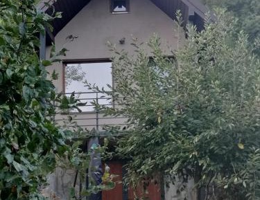 King Room with Garden View