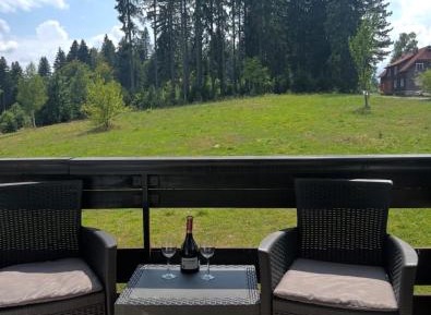 Twin Room with Terrace