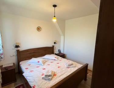 Double Room with Mountain View