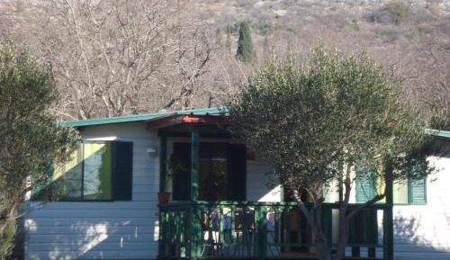 Mobile Home