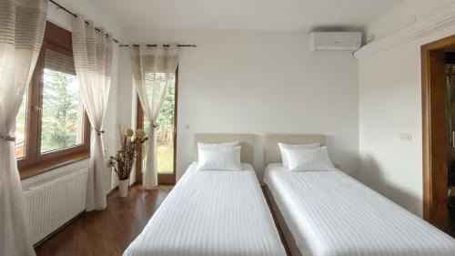 Twin Room with Terrace