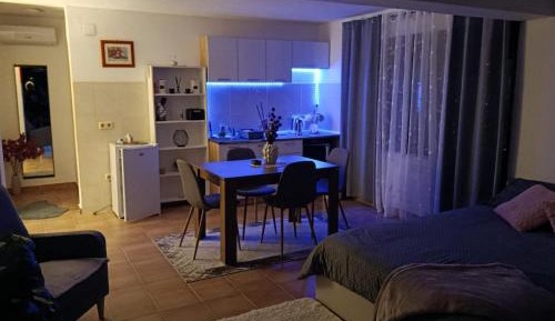 Studio with Garden View