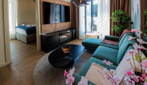 Two-Bedroom Apartment with Mountain View