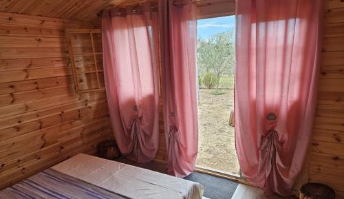 Triple Room with Shared Bathroom