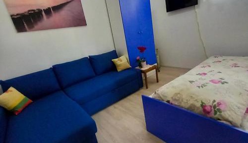 Deluxe One-Bedroom Apartment