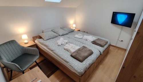 Double or Twin Room