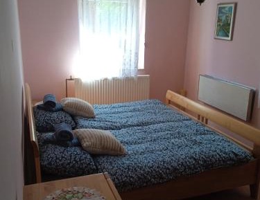 Deluxe One-Bedroom Apartment
