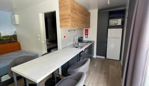 Mobile Home