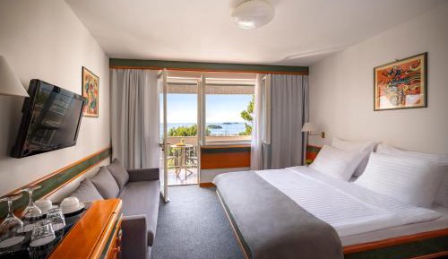 Premium Double or Twin Room