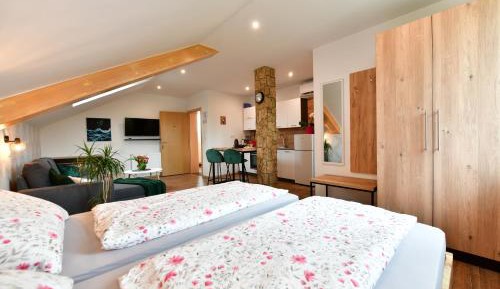 King Studio with Sofa Bed