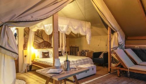 Tent