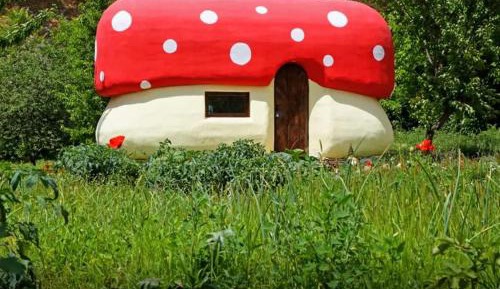 Mobile Home
