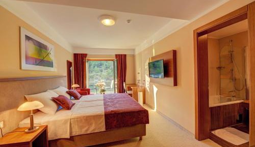 Double Room with Balcony and Sea View