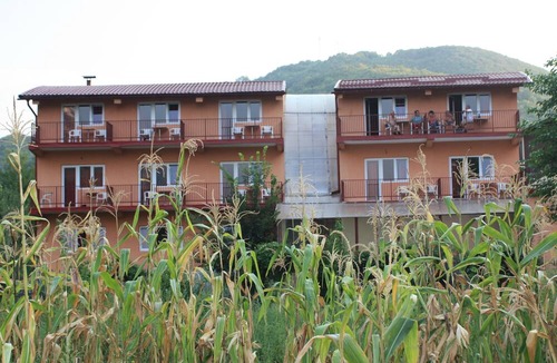 Baile Herculane House | Pensiune Safrane