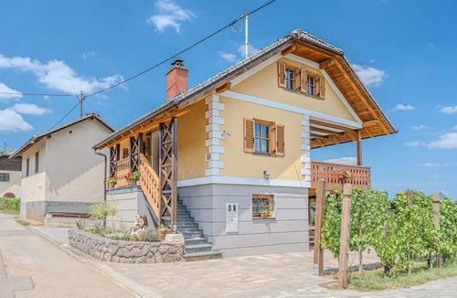 Crnomelj House | Vineyard Cottage Stepan