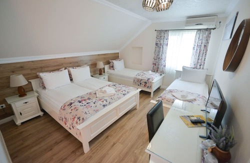 Crisan House | Ovidiu