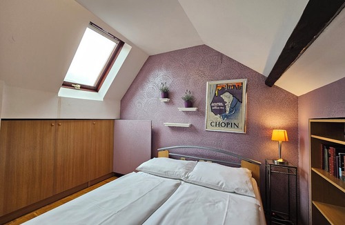 Ljubljana Old Town Apartment | Nina Tour As/Old town 2BR Apartment Nina, free AC and WiFi, private terrace