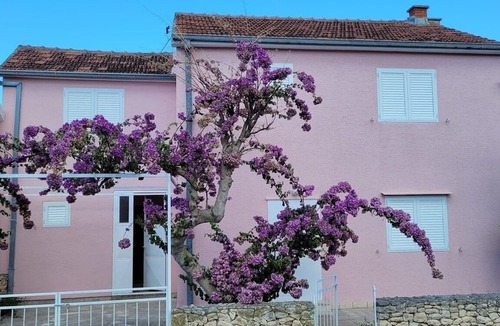Mirce House | Seaside holiday house Mirca, Brač (K-25279)