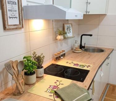 Apatin Apartment | Apartman studio DUE Apatin