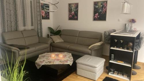 Vrdnik House | Anonim Plus