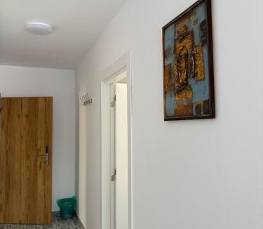 Sinnicoara Apartment | Casa Sabo Cluj Airport Area Double Sunny Room