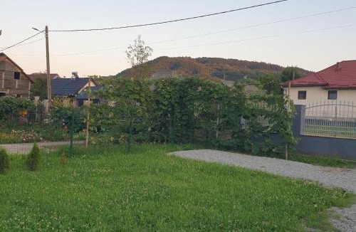 Ieud House | Casa Vlad