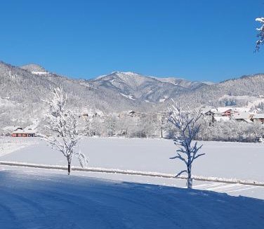Ljubno ob Savinji House | Tourist farm Kolar
