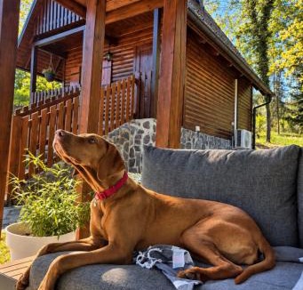 Gladovec Pokupski House | Cozy Wooden Cabin for Two near Kupa River by Destination GREEN Croatia