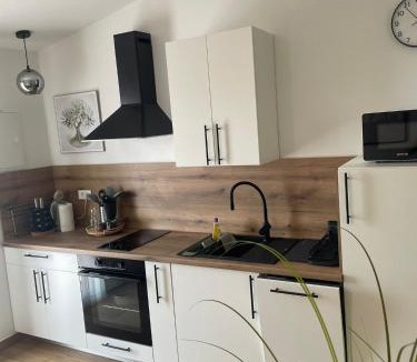 Zdrelac Apartment | Studio apartman Olea