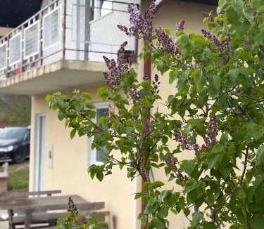 Tjentiste House | Vrba