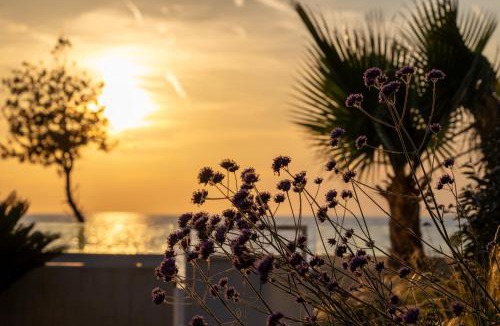 Zaton Villa | Adria Resort SEAFRONT Luxury Villa A Private Pool