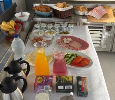 Turanj Apartment | Mobilhome Nico - Camping Turanj with Pool
