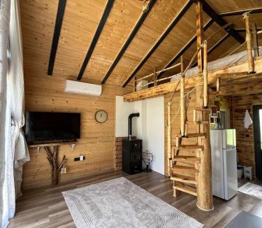 Sokolac House | Entire cabin in Gurdići, Bosnia & Herzegovina