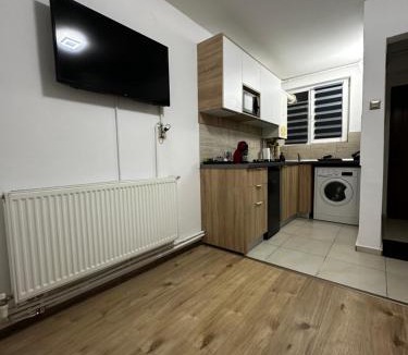 Pitesti Apartment | Central Studio