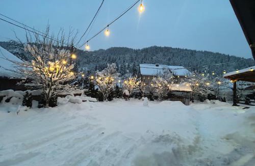 Vadu Motilor Cabin | Cabana Ana