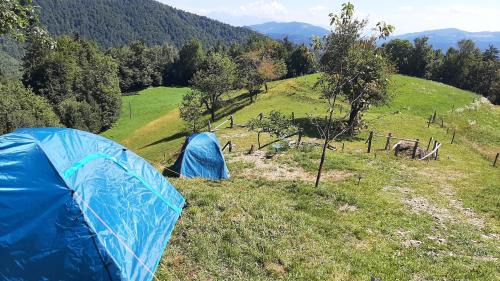 Gorenja vas-Poljane Apartment | Healing Farm