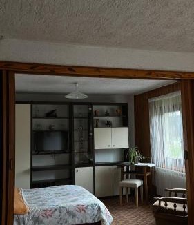Ogulin Apartment | Sokol