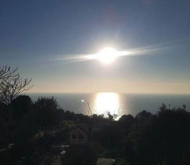 Veli Losinj Apartment | App Bonić
