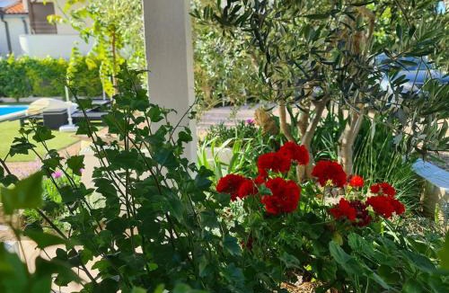 Zdrelac Apartment | Ilsad apartments, Apartment with pool 80 meters from se, Sea view from balcony