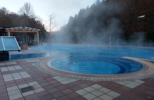 Gorenja Vas pri Smarjeti Apartment | Houses and Apt in Smarjeske Toplice Kranjska Krain 26042