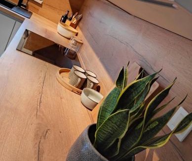 Businci Apartment | Apartman A&J Okruk